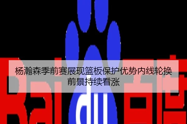 杨瀚森季前赛展现篮板保护优势内线轮换前景持续看涨